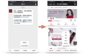 SKII-wechat-store-official-account-ecommerce