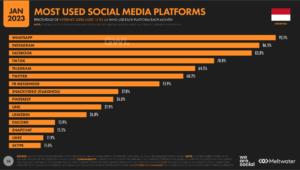 Indonesia Social Media User Growth