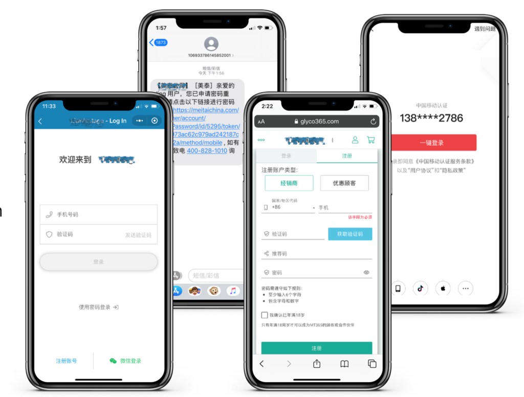Login options in Magento China localization