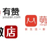 Top 3rd party WeChat eCommerce platforms in China