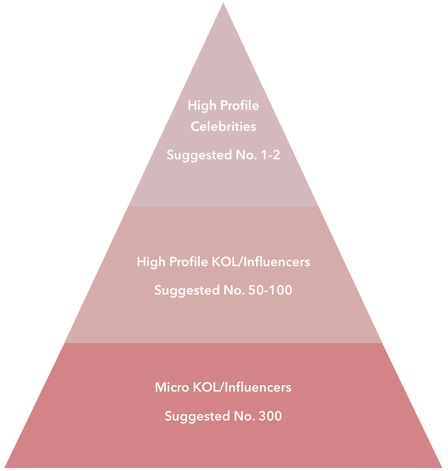 chinese app xiaohongshu strategy kol infographic