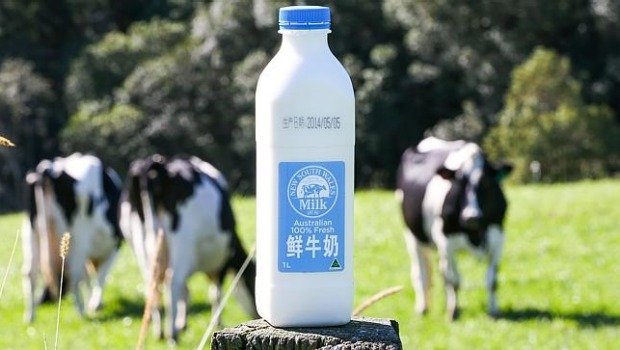 milk
