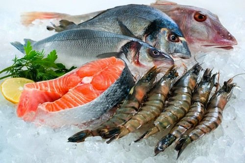 seafood