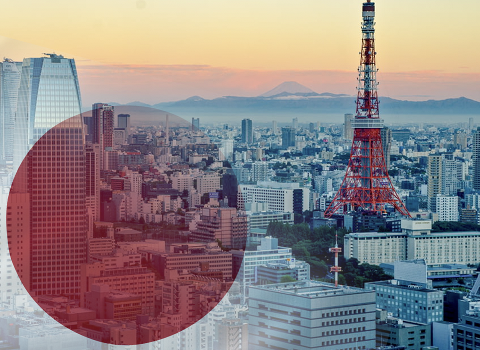 Japan eCommerce Market Guide